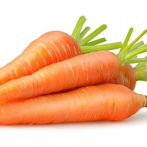 Carotten Gross 10kg