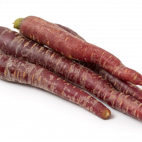 Pfälzer - Carotten ROT 5kg