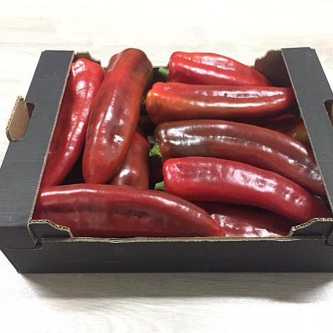 BIO Hornpeperoni Rot & Gelb