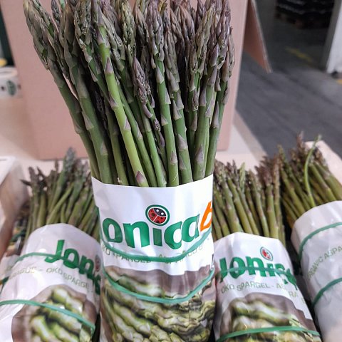 BIO Spargeln Fein Bund 500gr.