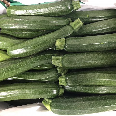 BIO Zucchetti