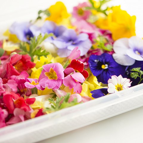 Mini-Blüten essbare, diverse