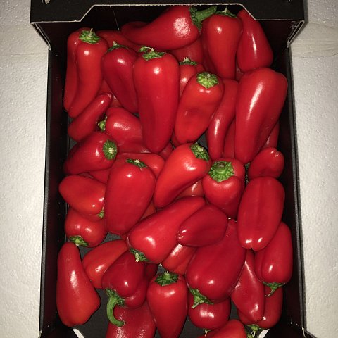 Mini-Peperoni rot 1 kg