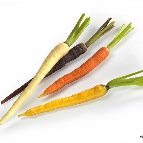 Mini-Carotten m.Kraut P.Bretagne 10x200g
