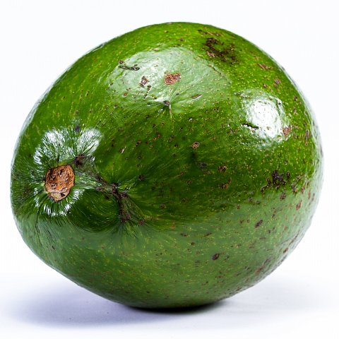 Riesenavocados Tropical 8er