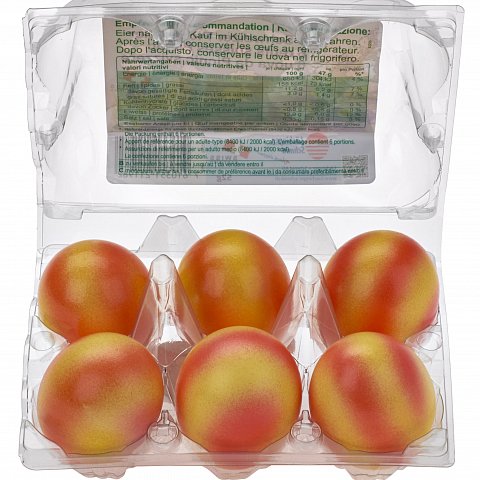 Picnic Eier 53 6er