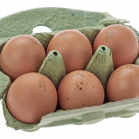 Eier- Freiland 63 6er Schale braun