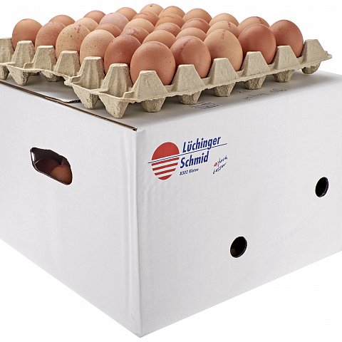 CH-Eier Freiland braun 65 90Stk/Carton