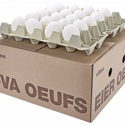 CH-Eier Freiland. weiss 63gr 60Stk