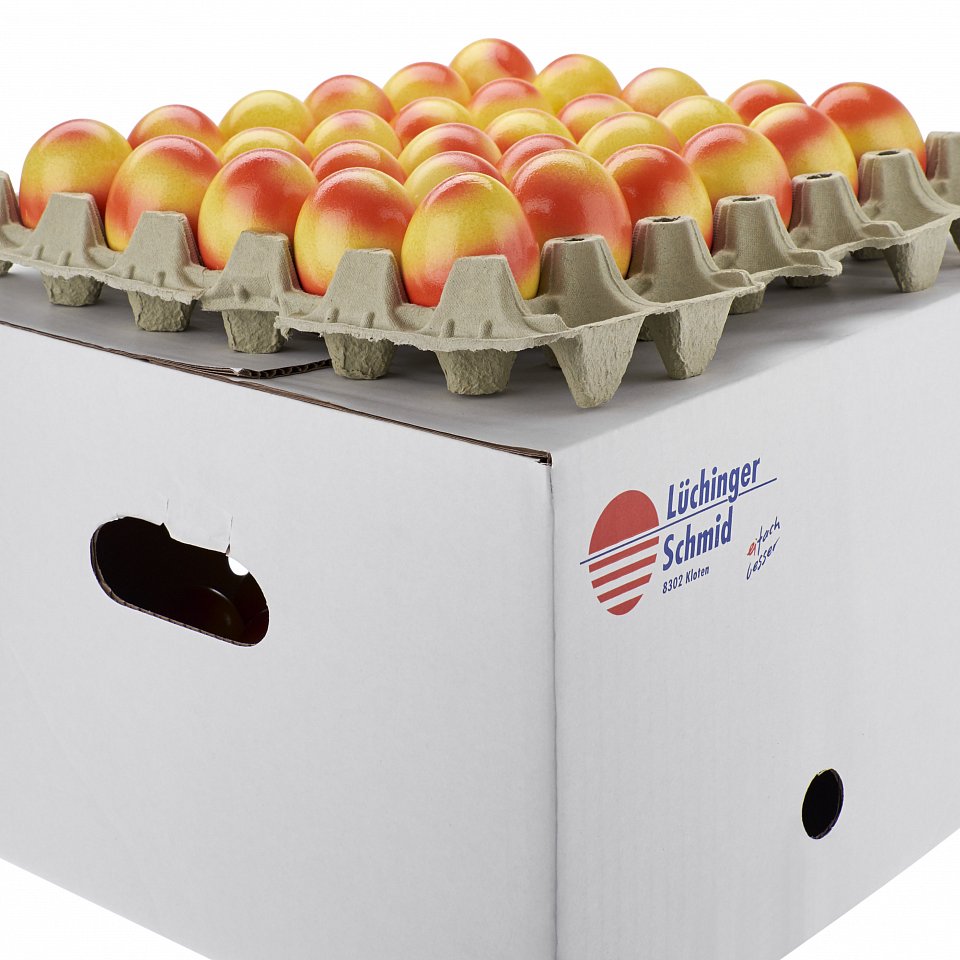 CH-Eier Picnic Bodenhaltung 60 60 Stk