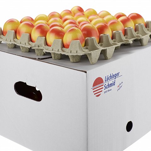 CH-Eier Picnic Bodenhaltung 60 60 Stk