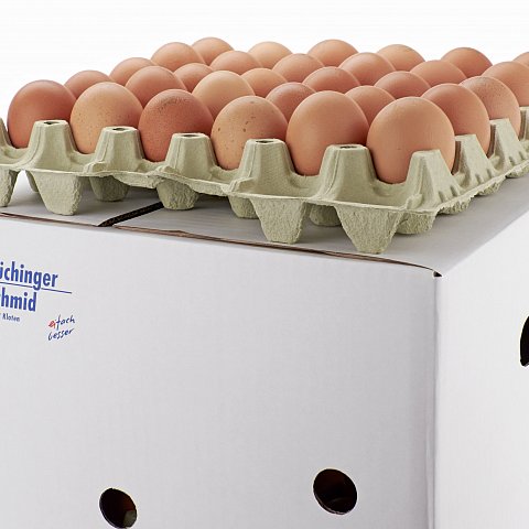 Import Eier Bodenhaltung L 90Stück