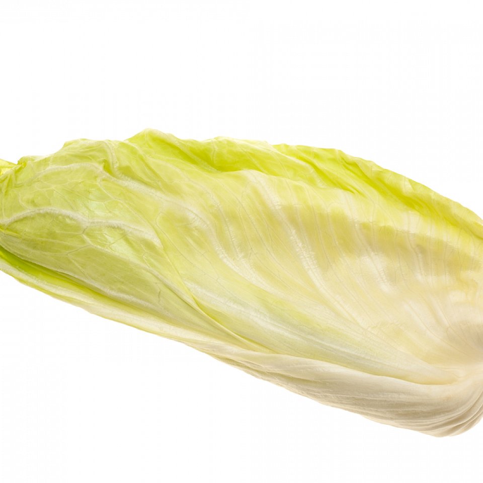 Zuckerhut