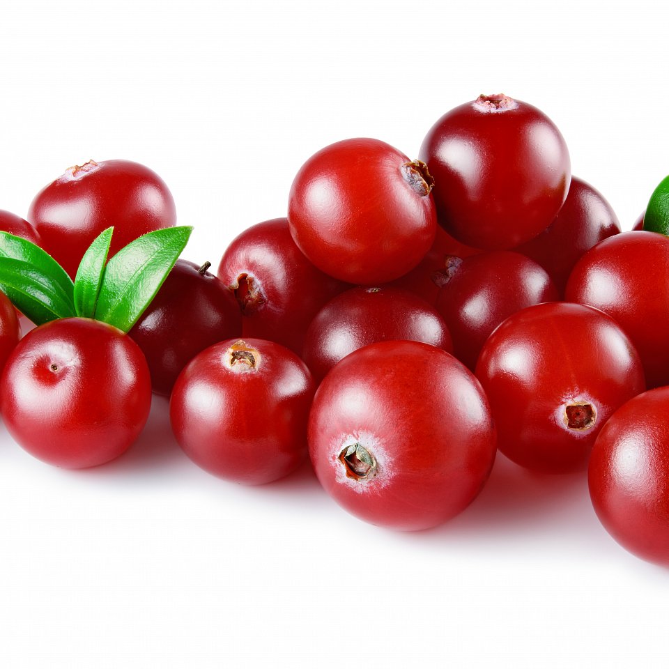 Preiselbeeren Frisch