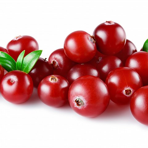Preiselbeeren Frisch
