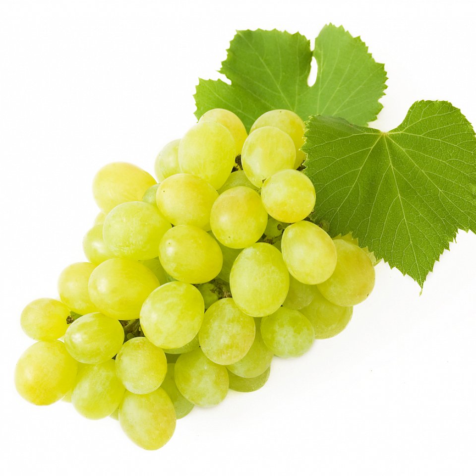 Trauben Chasselas