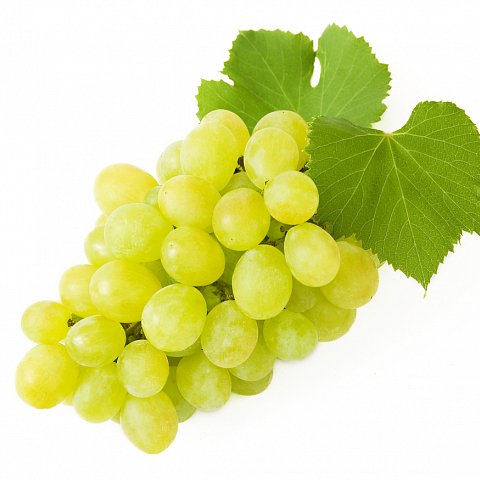 Trauben Chasselas