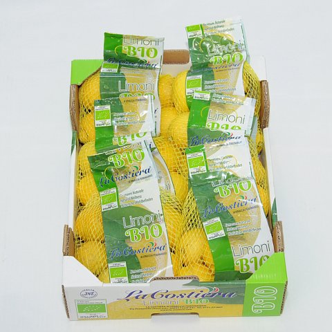 BIO Zitronen im Netz 28x500gr.