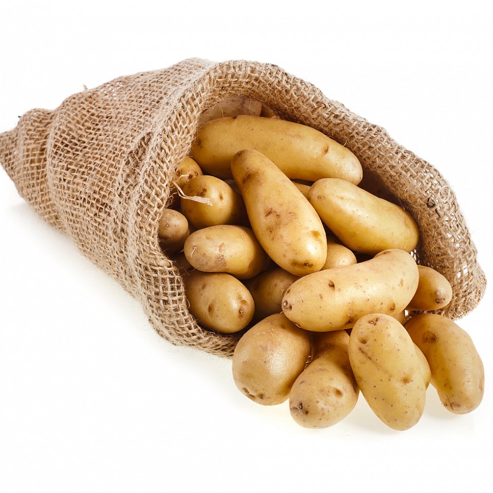 Kartoffeln Rattes