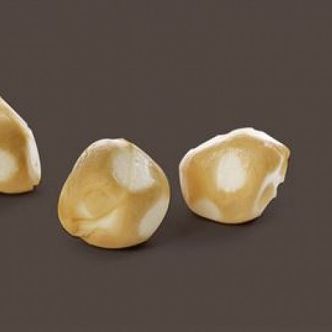 Scamorza Bocconi 250gr.